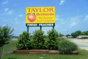Taylor-Orchards2